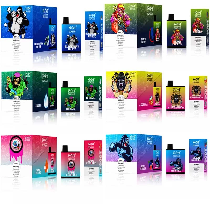 RM BOX MINI Vape 2500puffs
