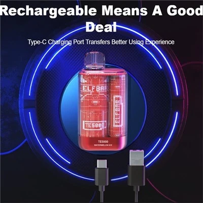 Vapeo Elfbar Te5000