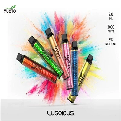 Yuoto delicioso 3000
