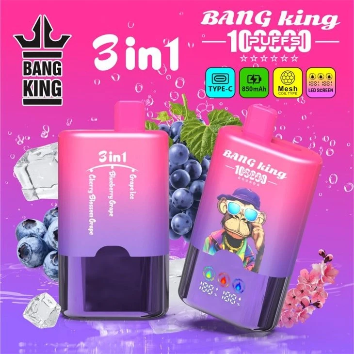 BANG KING 100000 PUFFS price BANG KING 100000 PUFFS price