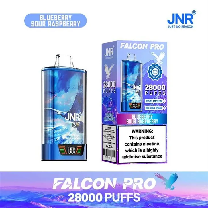 Blueberry Sour Raspberry_JNR Falcon Pro 28000