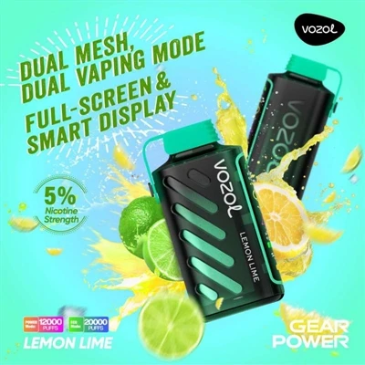 ¿Cuánto tiempo se puede usar Vozol Gear Power 20000?