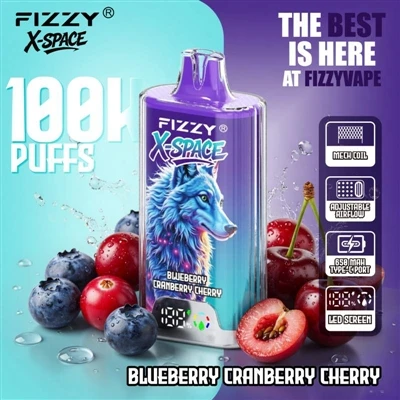 Fizzy 100K X Space: No es nada destacable que un dispositivo dure mucho tiemp...
