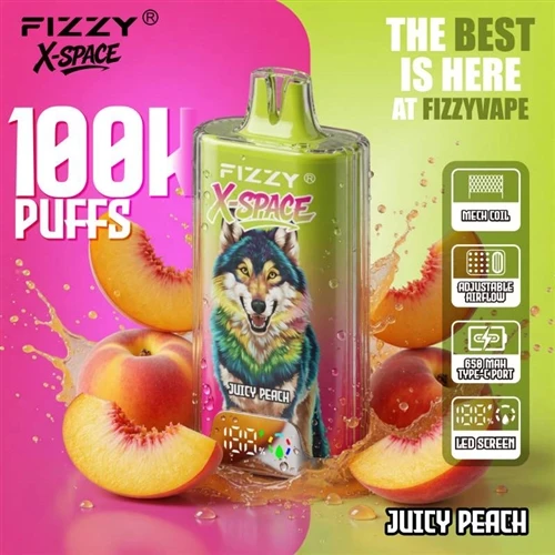 Fizzy X Space 100K: observaciones sobre la tendencia de los vaporizadores des...