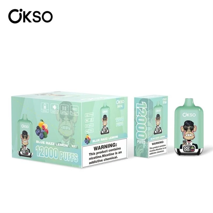 OKSO Digital Box 12000 factory OKSO Digital Box 12000 factory