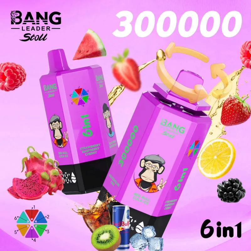 bang leader 300000 21 bang leader 300000 21
