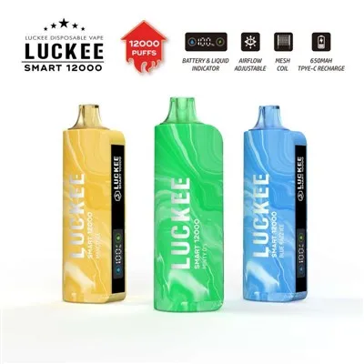 LUCKEE INTELIGENTE 12000